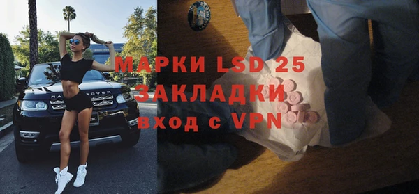 PSILOCYBIN Аркадак